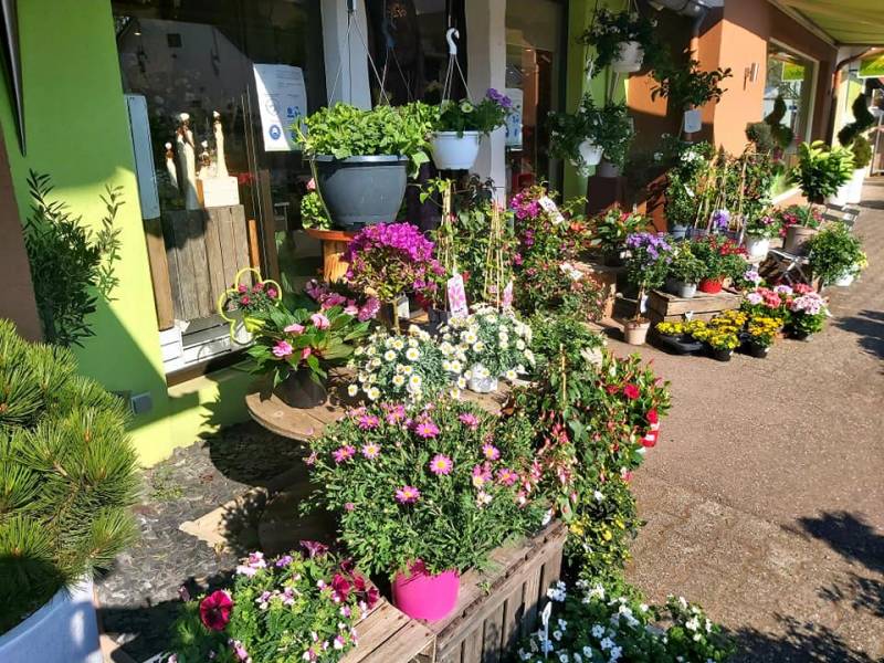 Fleuriste Vendenheim FLEURS DANY-FLORA